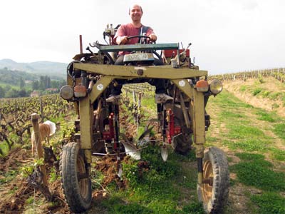 виноградники Domaine du Vissoux